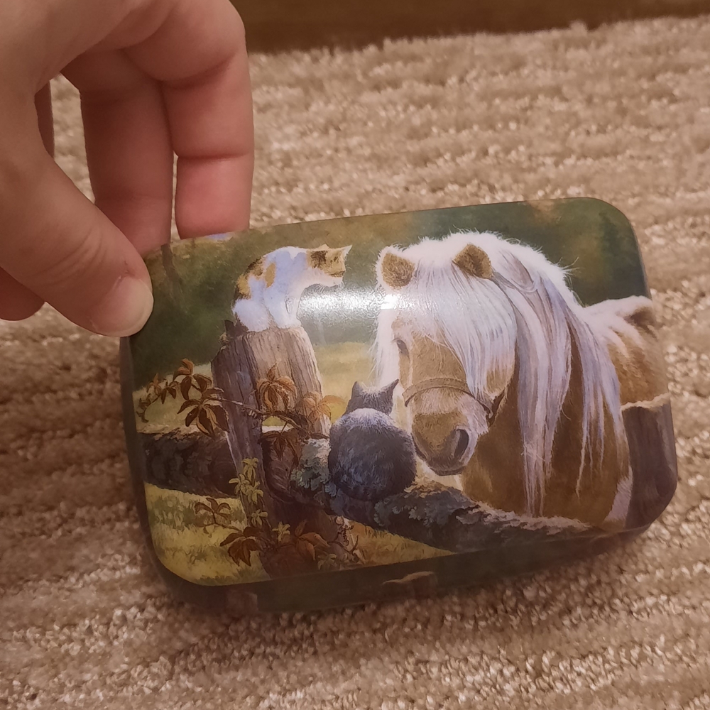 Cat and Horse Trinket/Jewelry Box- Persis Clayton Weirs Wild Wings